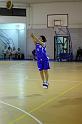Basket 242015